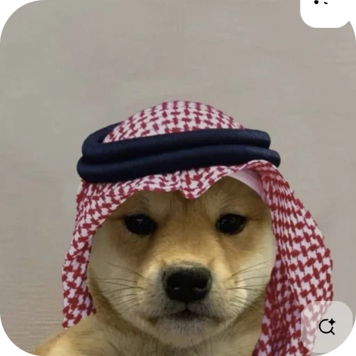 🖼 Стикер «КРУТЫЕ ПСЫ» для Telegram