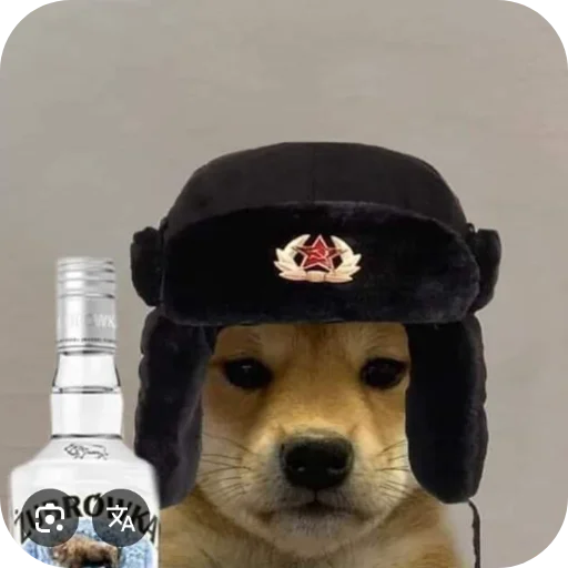 🐶 Стикер «КРУТЫЕ ПСЫ» для Telegram