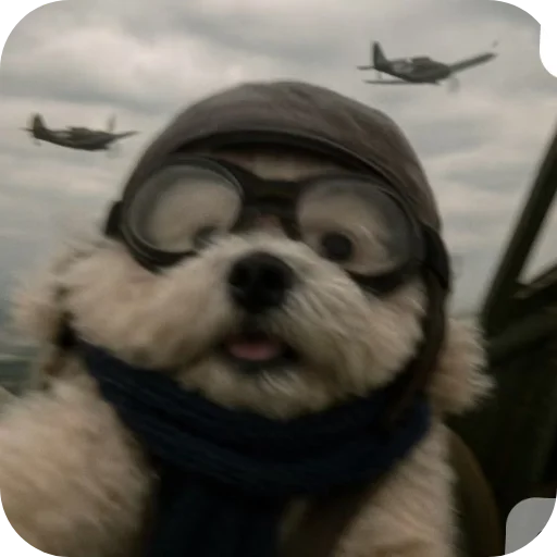 💇 Стикер «КРУТЫЕ ПСЫ» для Telegram