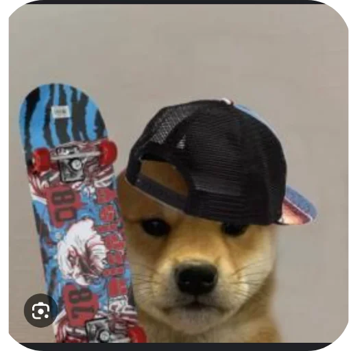 🐶 Стикер «КРУТЫЕ ПСЫ» для Telegram