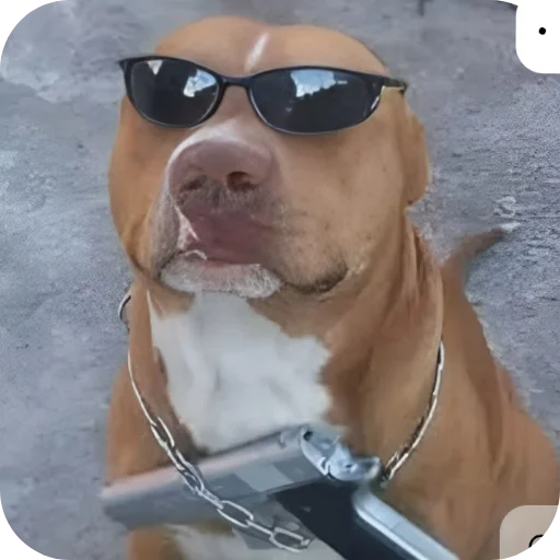 😎 Стикер «КРУТЫЕ ПСЫ» для Telegram