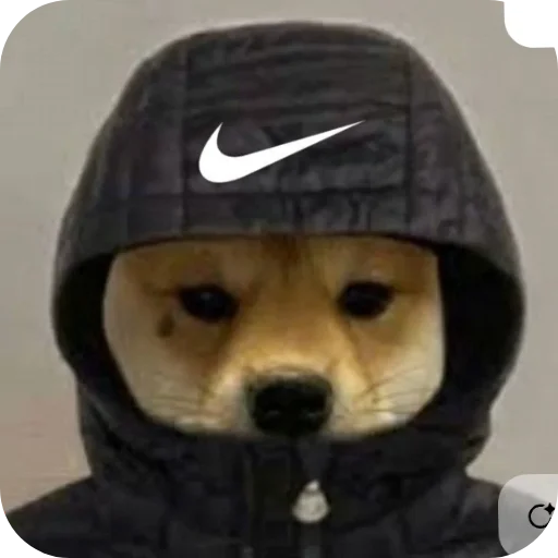 ⛑ Стикер «КРУТЫЕ ПСЫ» для Telegram