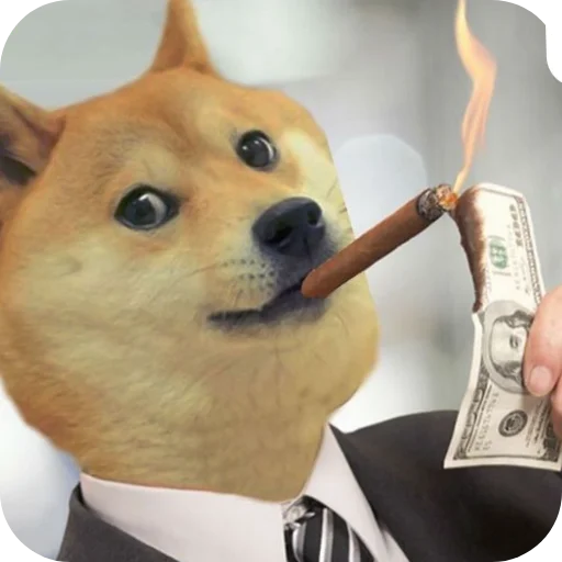🐶 Стикер «КРУТЫЕ ПСЫ» для Telegram