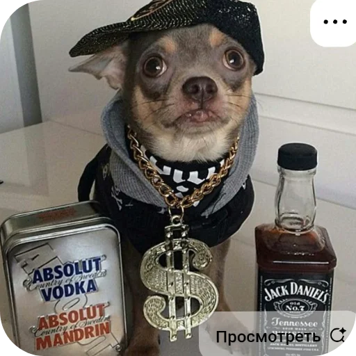 🖼 Стикер «КРУТЫЕ ПСЫ» для Telegram
