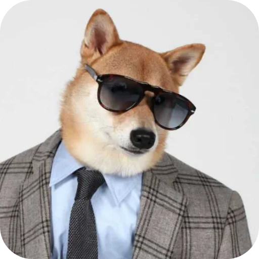😎 Стикер «КРУТЫЕ ПСЫ» для Telegram