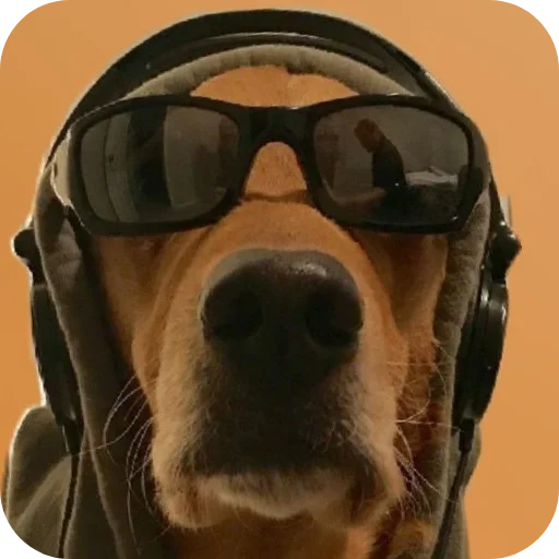 🥽 Стикер «КРУТЫЕ ПСЫ» для Telegram