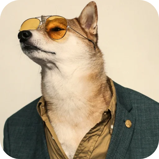 👍 Стикер «КРУТЫЕ ПСЫ» для Telegram