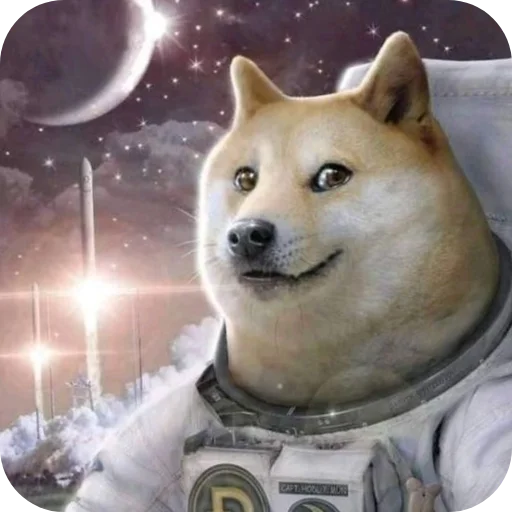 🖼 Стикер «КРУТЫЕ ПСЫ» для Telegram