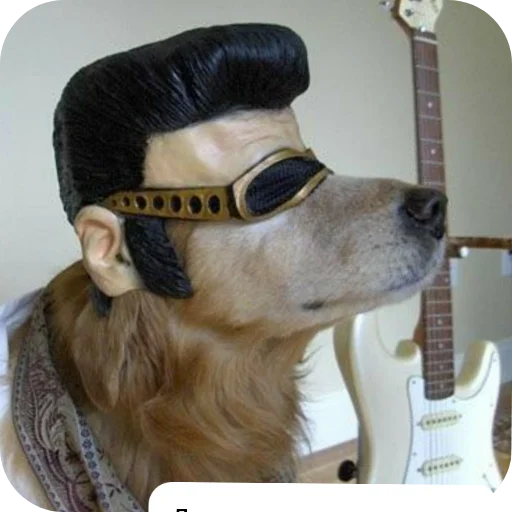 🐶 Стикер «КРУТЫЕ ПСЫ» для Telegram
