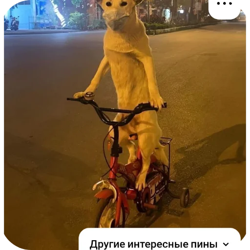 🖼 Стикер «КРУТЫЕ ПСЫ» для Telegram
