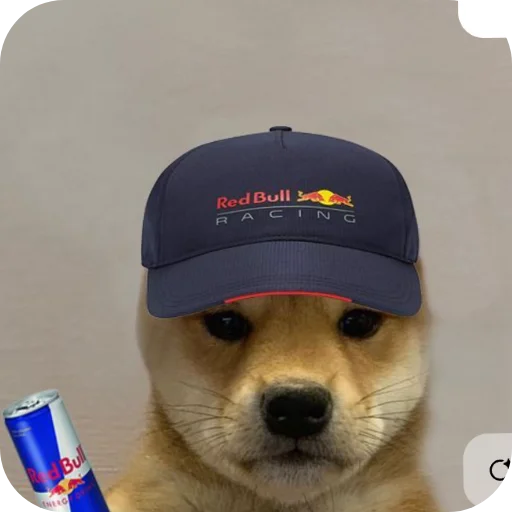 🐶 Стикер «КРУТЫЕ ПСЫ» для Telegram