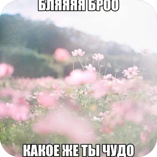 🫥 Стикер «йоу» для Telegram