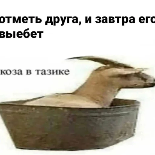 😳 Стикер «йоу» для Telegram