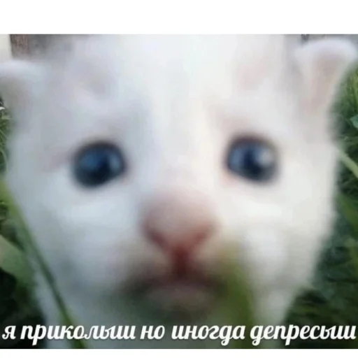 😕 Стикер «йоу» для Telegram