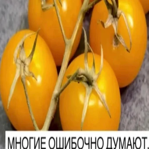 🤔 Стикер «чушь и ерунда» для Telegram