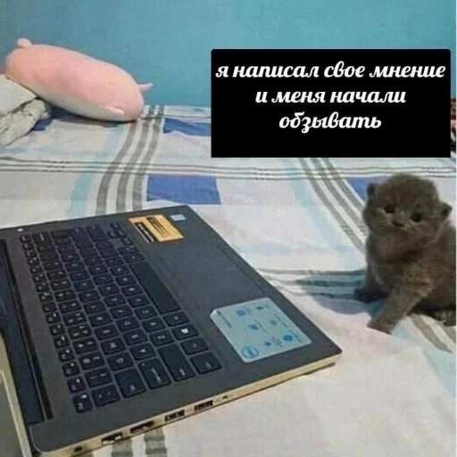 😿 Стикер «чушь и ерунда» для Telegram