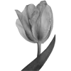 Стикер 31 Bw