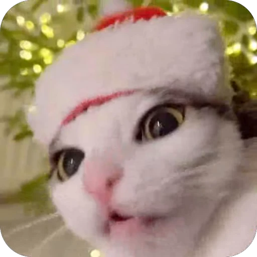 🥰 Стикер «китики» для Telegram