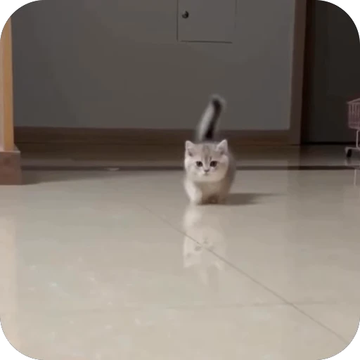 🫥 Стикер «китики» для Telegram