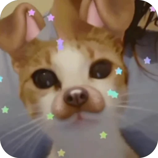 🫥 Стикер «китики» для Telegram