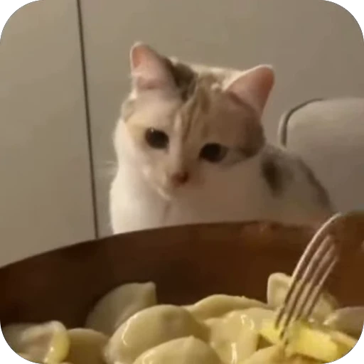 🤤 Стикер «китики» для Telegram