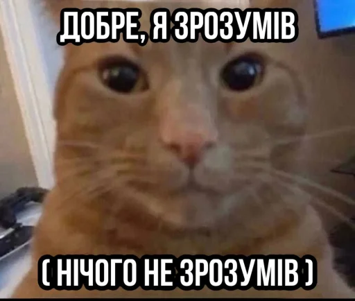 👍 Стикер «Опять одно и тоже» для Telegram