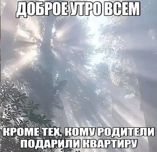 ☀️ Стикер «Опять одно и тоже» для Telegram