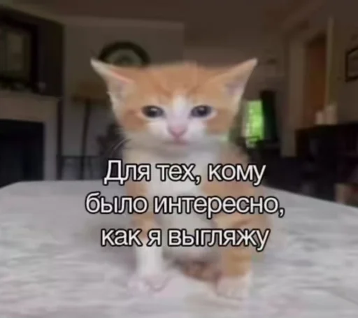 😎 Стикер «Опять одно и тоже» для Telegram