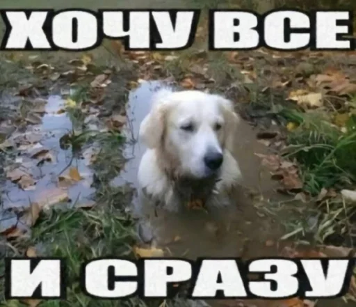 😎 Стикер «Опять одно и тоже» для Telegram