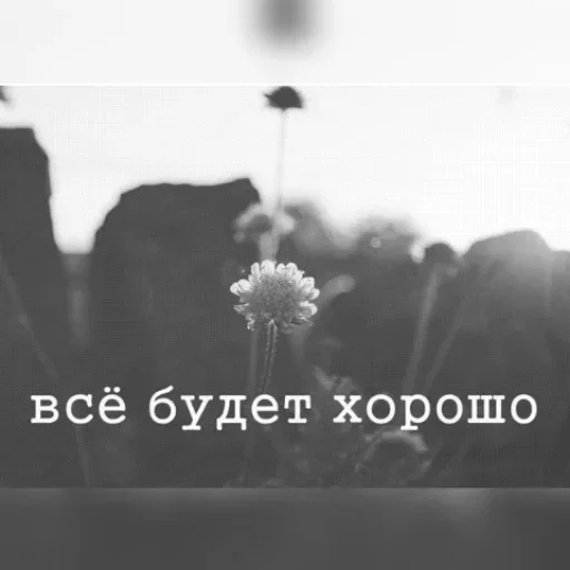 😊 Стикер «Кто конфеточка» для Telegram