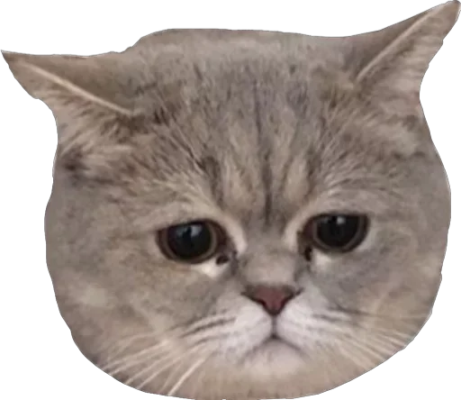 🙁 Стикер «Кто конфеточка» для Telegram