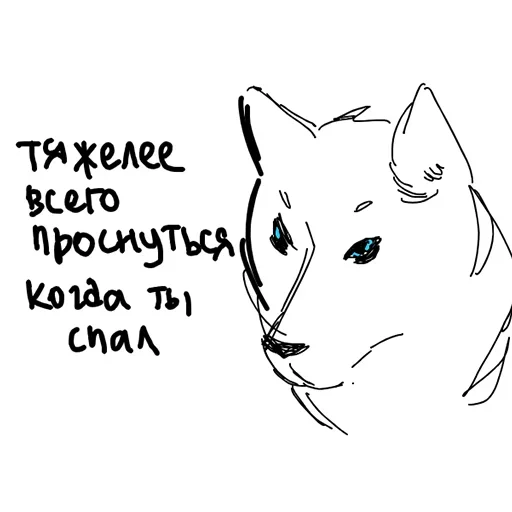 🐺 Стикер «Да кто ты такой?» для Telegram