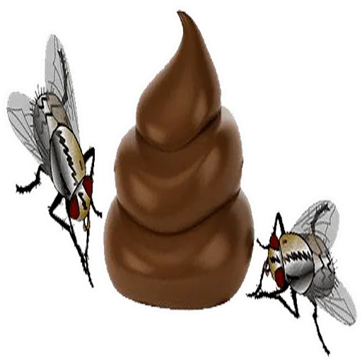 💩 Стикер «Чиполлино.» для Telegram