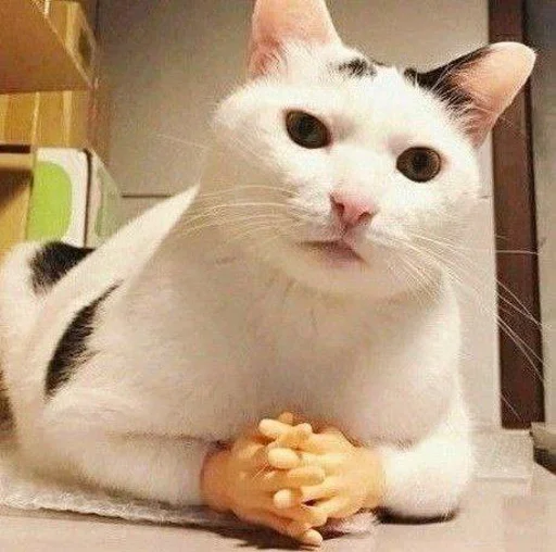 🐶 Стикер «ano» для Telegram