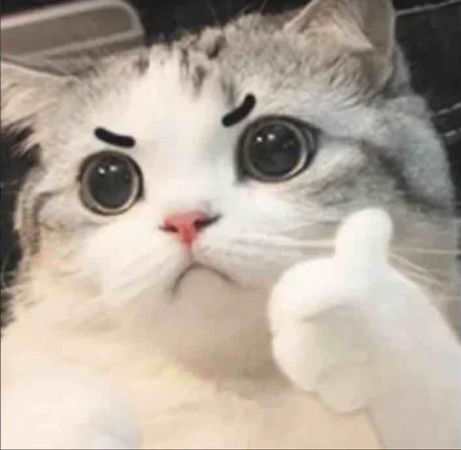 🐶 Стикер «ano» для Telegram