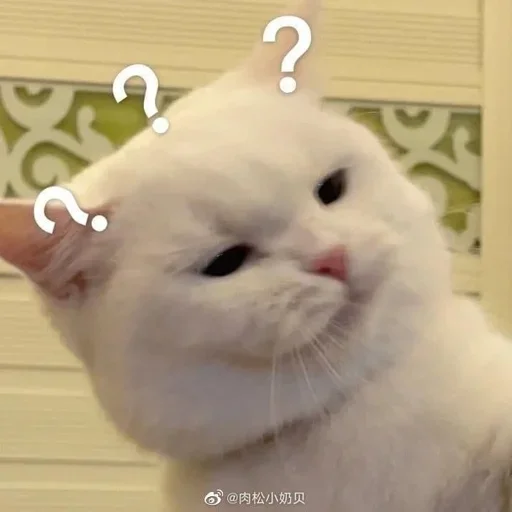 🐶 Стикер «ano» для Telegram