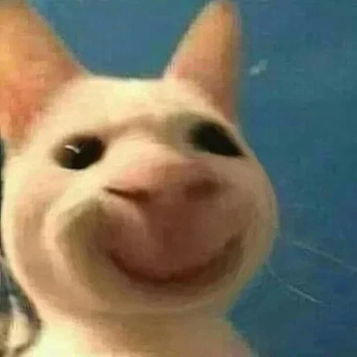 🐶 Стикер «ano» для Telegram