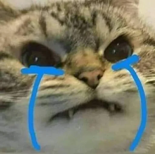 🐈 Стикер «kucing» для Telegram