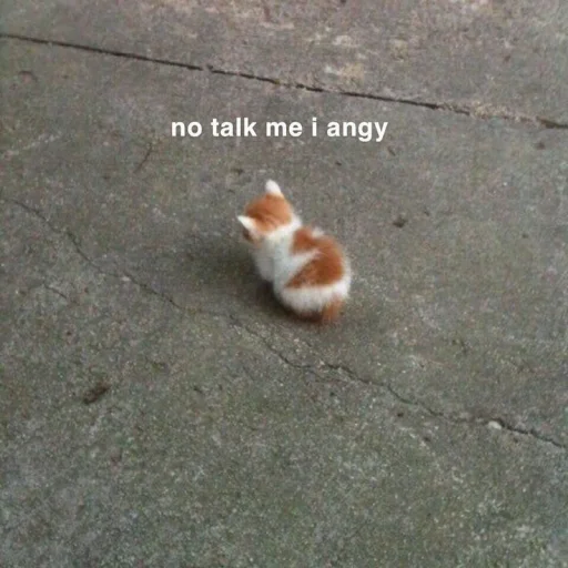 🐈 Стикер «kucing» для Telegram