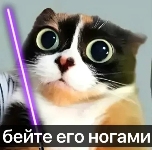 🤩 Стикер «Куки» для Telegram