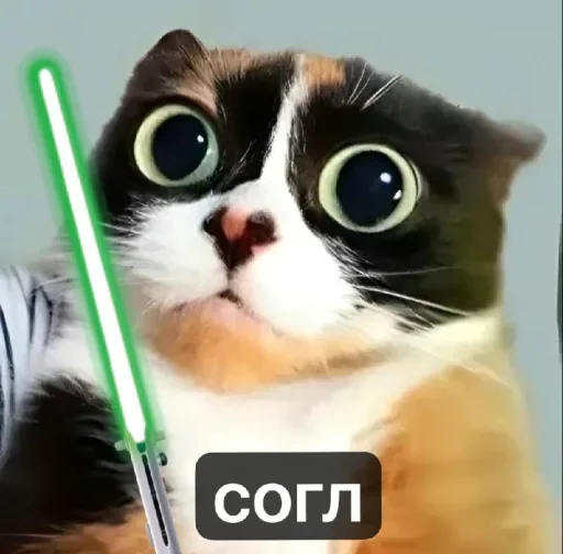🤩 Стикер «Куки» для Telegram