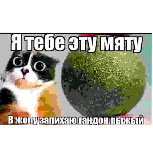 🖼 Стикер «Куки» для Telegram