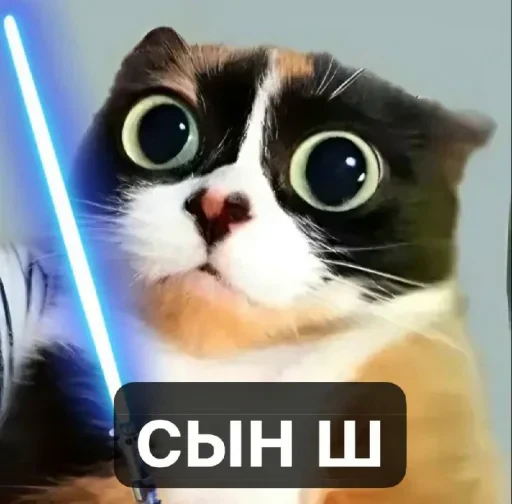 🤩 Стикер «Куки» для Telegram