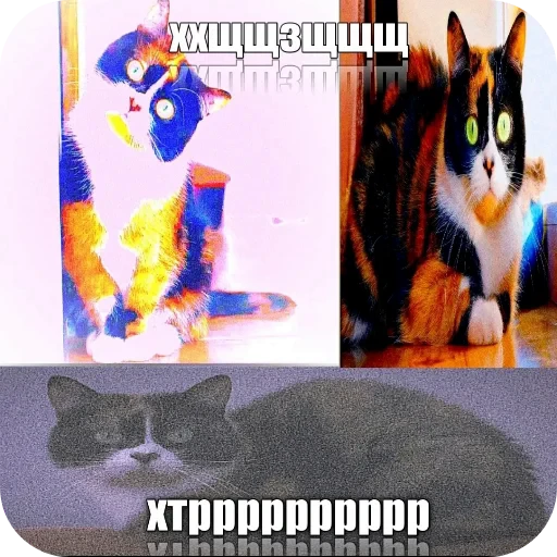 🖼 Стикер «Куки» для Telegram