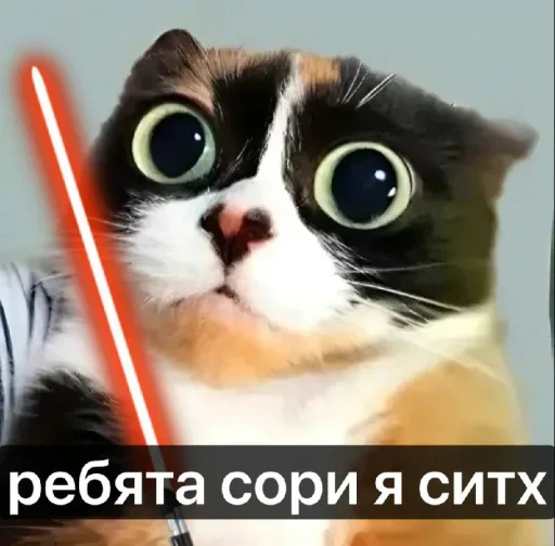 🤩 Стикер «Куки» для Telegram