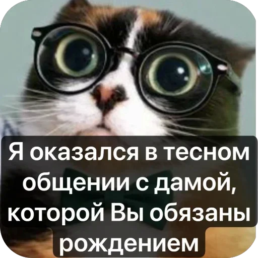 🤩 Стикер «Куки» для Telegram