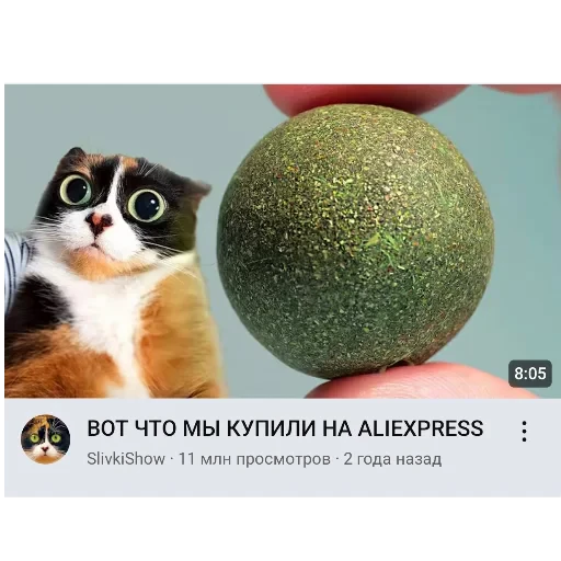 🐱 Стикер «Куки» для Telegram