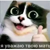 Стикер 22 Куки кот
