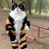 Стикер 14 Куки кот