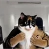 🤩 Эмодзи «Куки» для Telegram